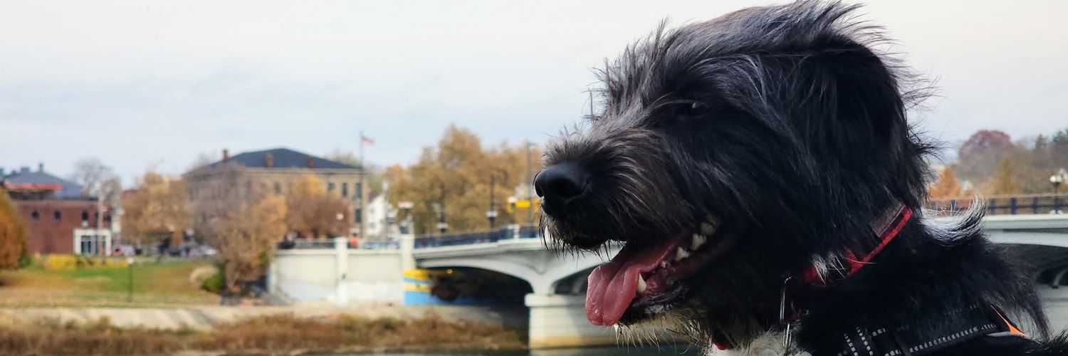 scottodonohoe's profile banner image