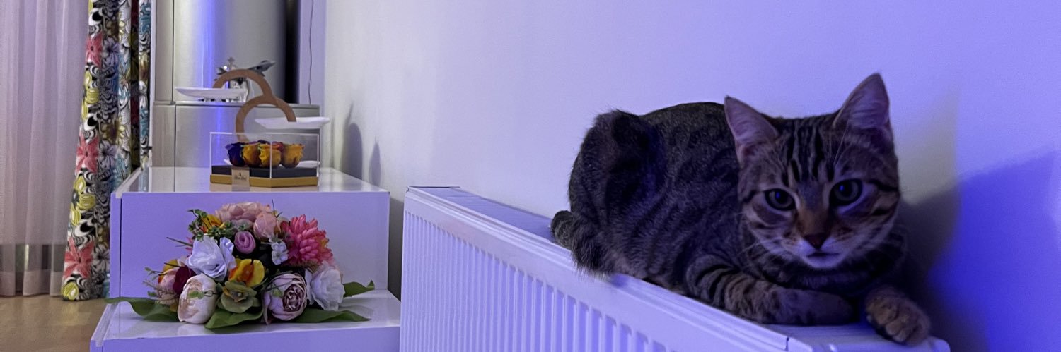 veganeng's profile banner image