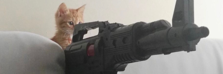 RISStrictedzone's profile banner image