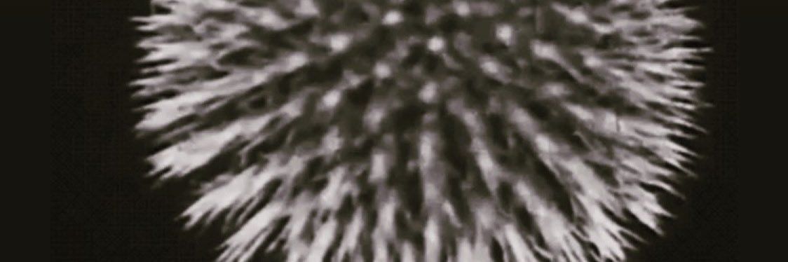 guryengine's profile banner image