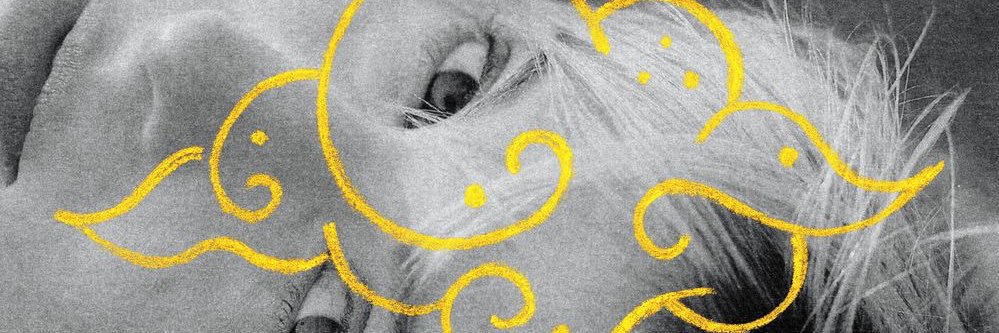 psicomtka's profile banner image