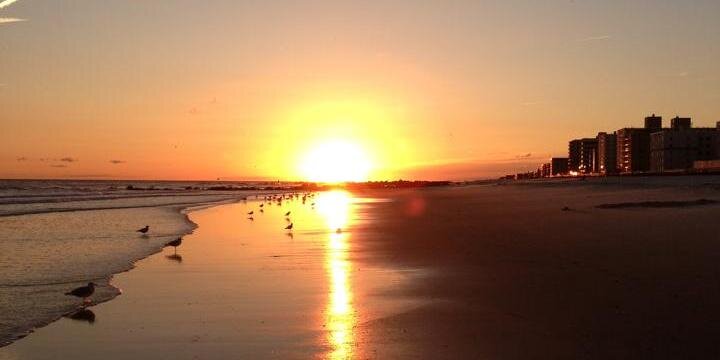 Alison Butler banner