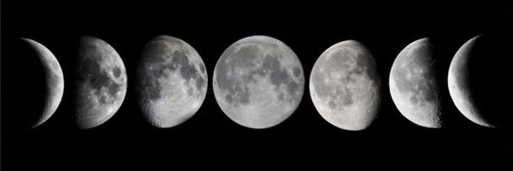 MarisaPoma's profile banner image