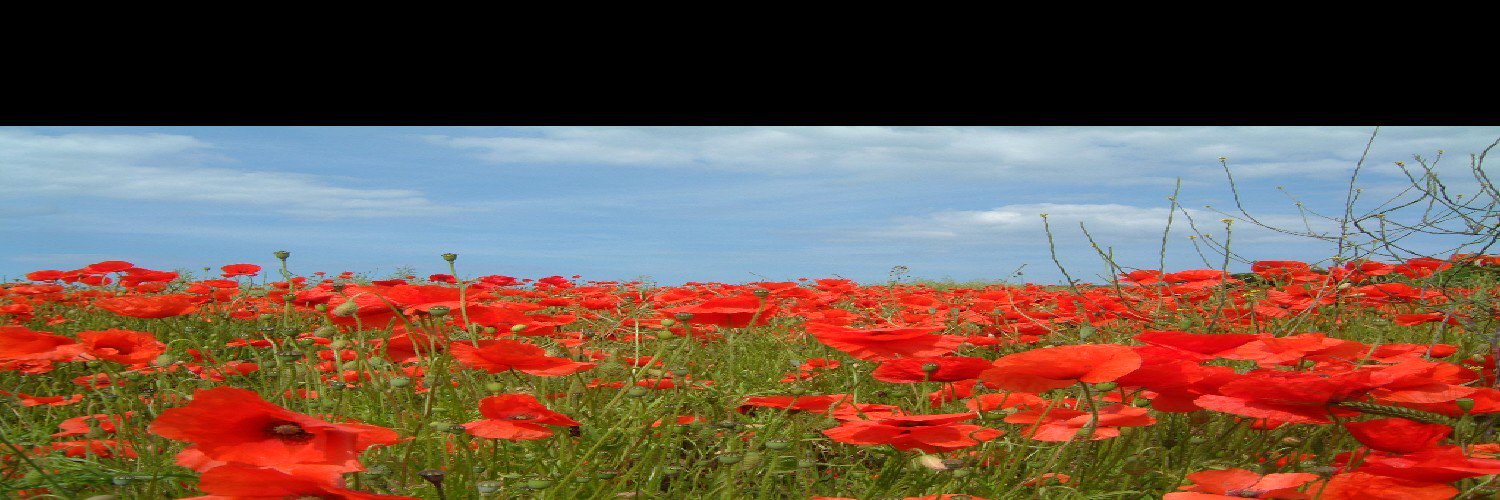 C_ClackBush's profile banner image