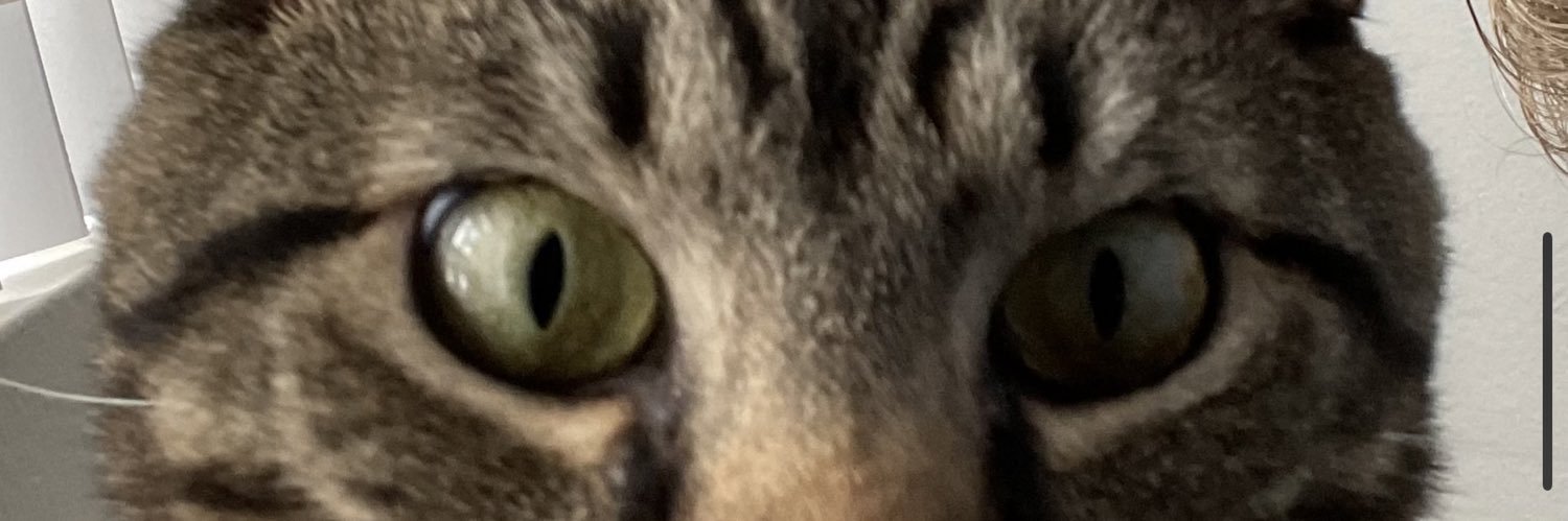 brendanmoriak's profile banner image