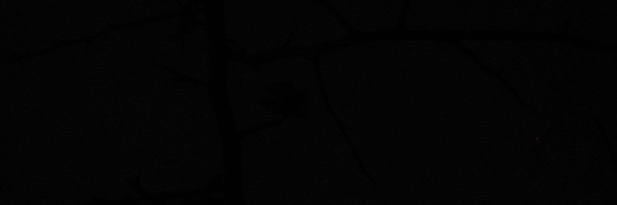 ⊹ ࣪ ˖ 𝐬𝐭𝐚𝐫 ⊹ ࣪ ˖ banner