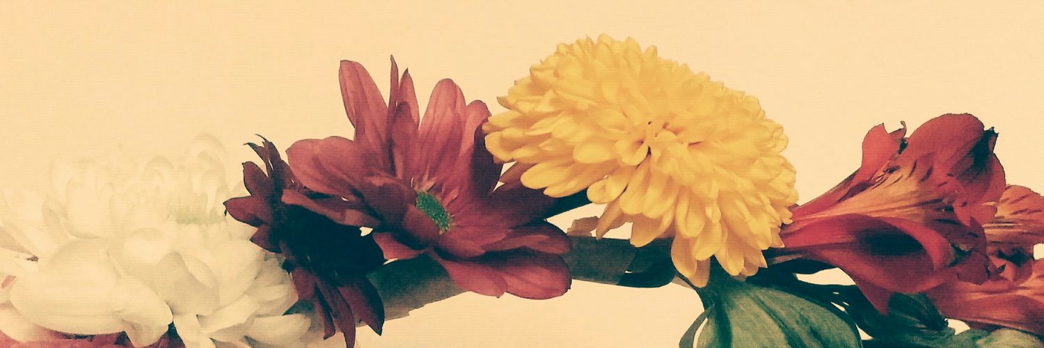 MikaGigli's profile banner image