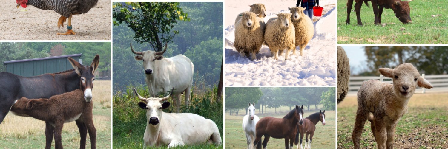 LConservancy's profile banner image