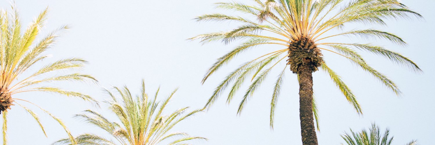 juleschapp's profile banner image