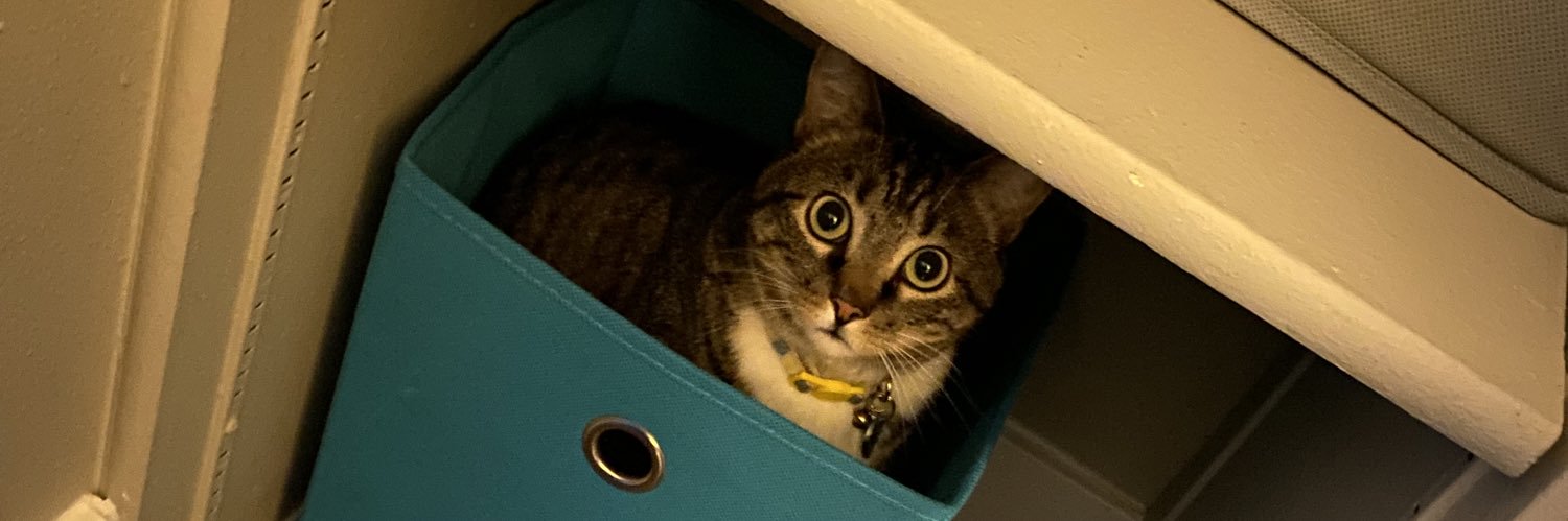 Sarah Rzeszut banner