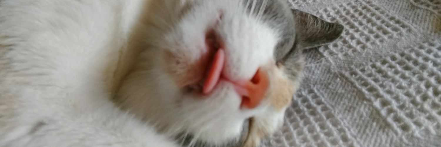 Martinsp04's profile banner image
