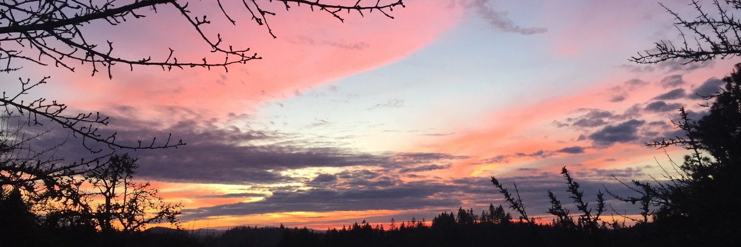 chancecraff's profile banner image