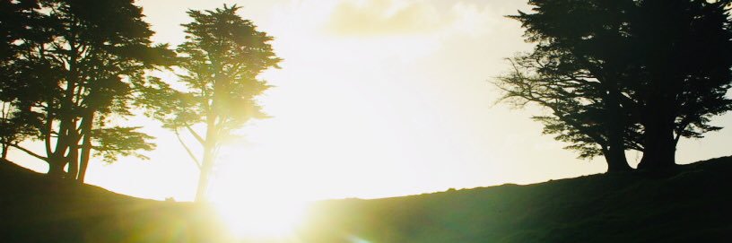 Sharont6Z's profile banner image