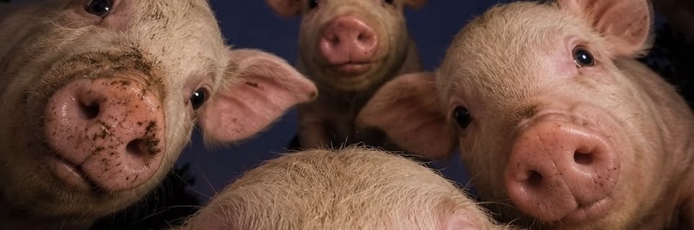 Greghub566's profile banner image