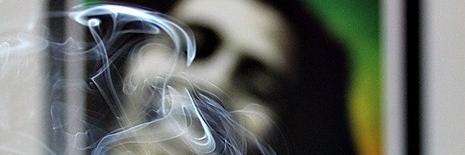 Bifeeeee's profile banner image