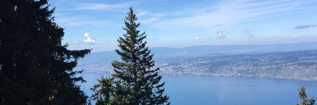 vkampfen's profile banner image