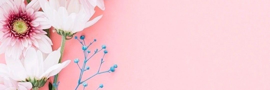 jessysilva_'s profile banner image