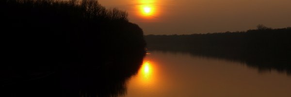 theHenleyGuide Profile Banner