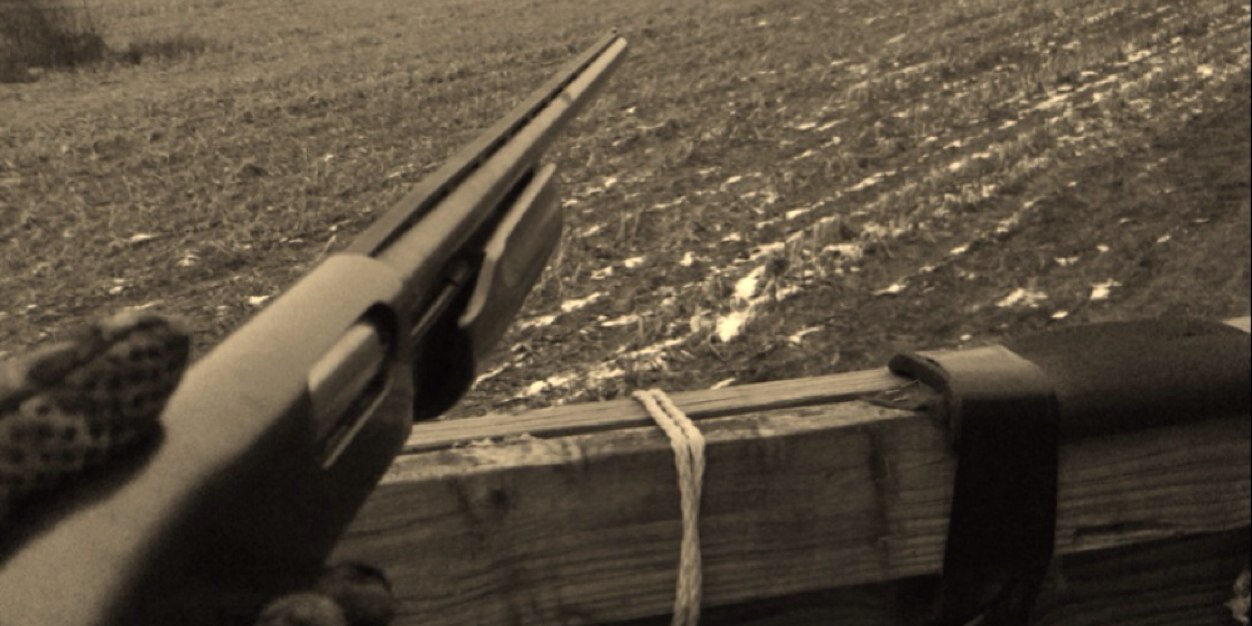 bowsandbullets's profile banner image