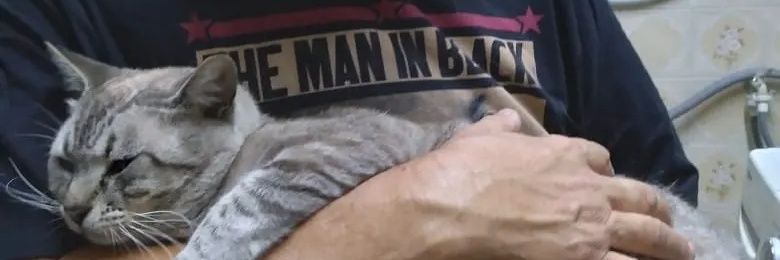bxdwollf's profile banner image