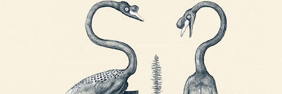 veterinar's profile banner image