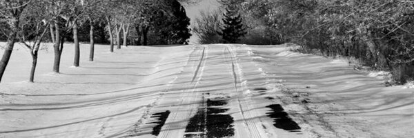 SnowwatchIRL Profile Banner