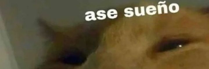 sebasp17's profile banner image