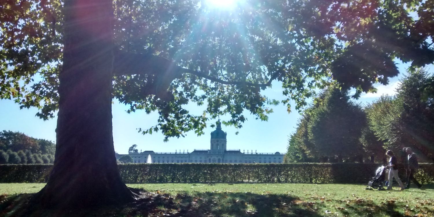 Sara Pinillos-Franco banner