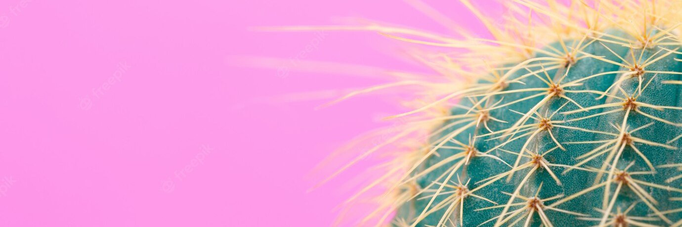 esticindignada's profile banner image