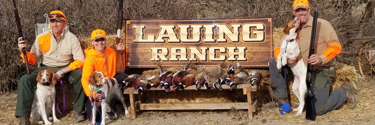 Tracy Evans Land banner
