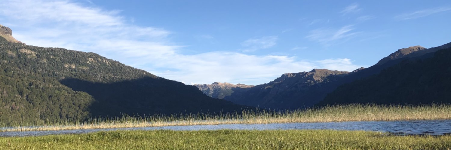 ccamism5's profile banner image