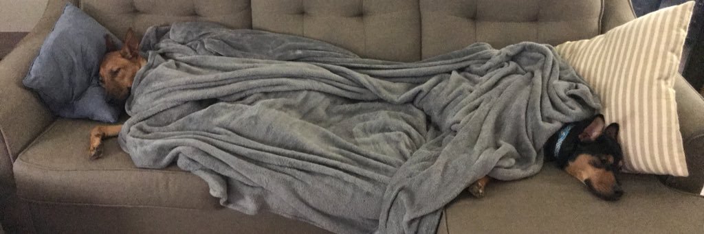 Lindzwright95's profile banner image
