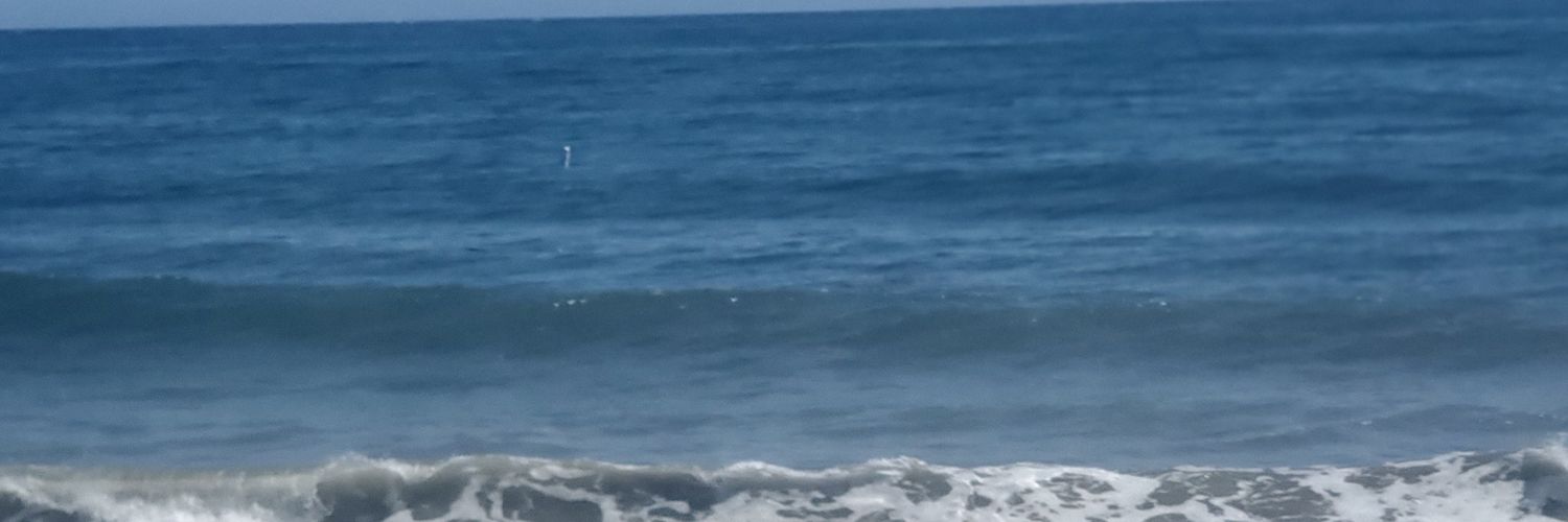 Mary Kennedy banner