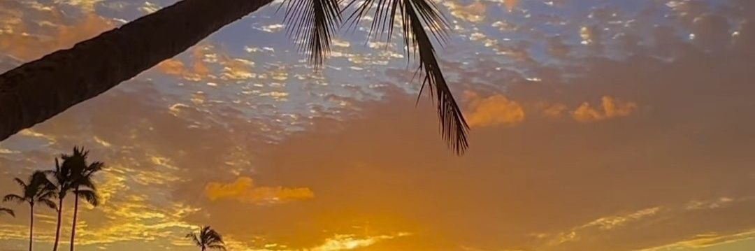 ElKioscoAzul's profile banner image