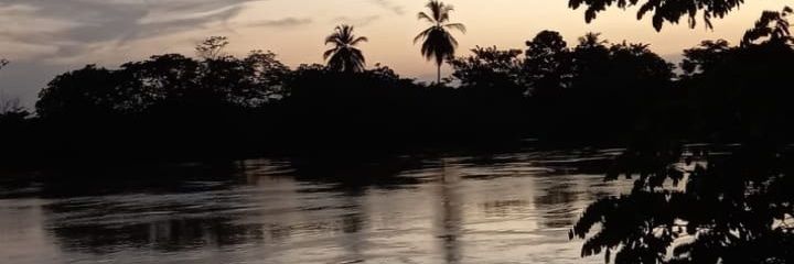 susa07_'s profile banner image