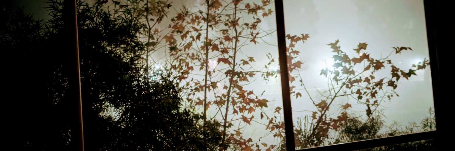 lilnorah's profile banner image