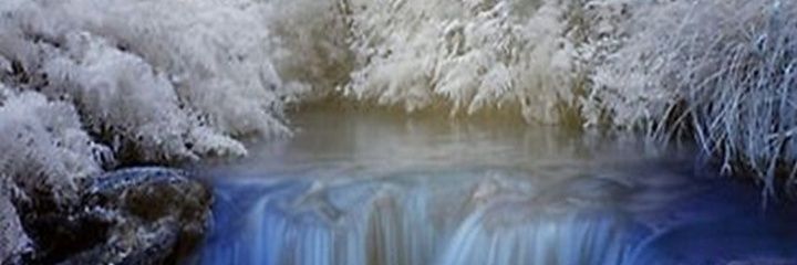 elmesamor's profile banner image