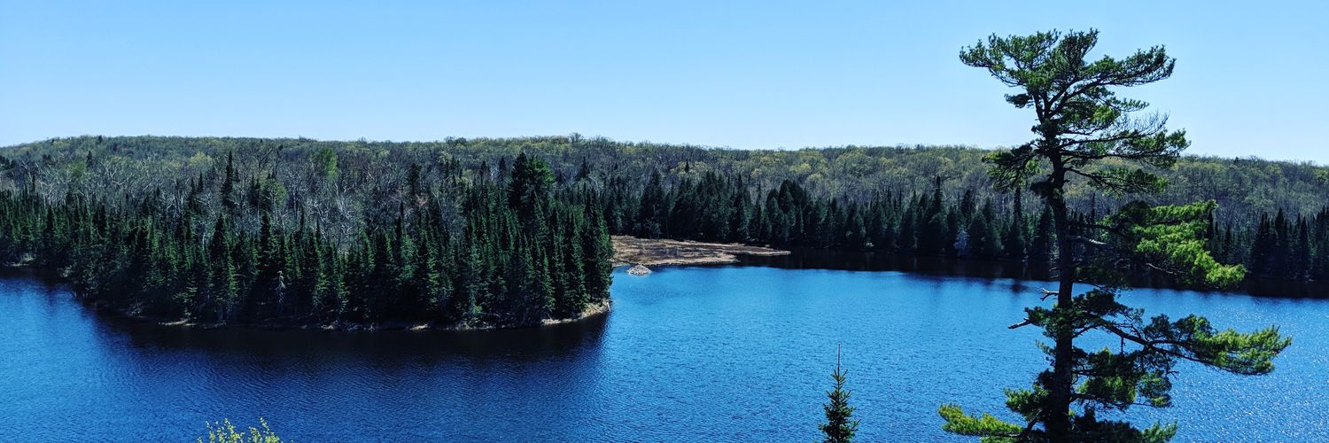 extremely online banner