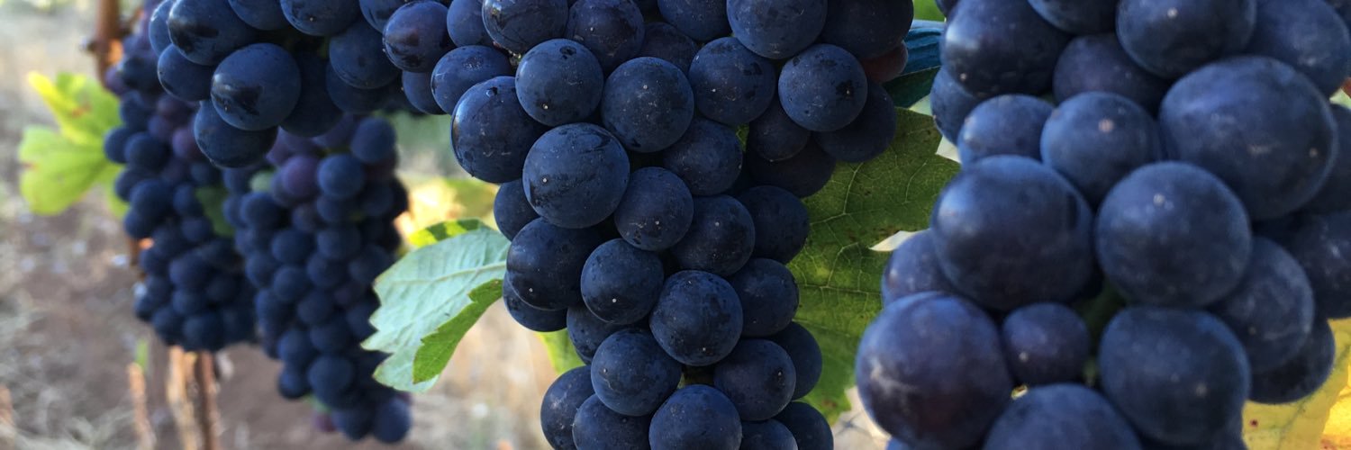 RallisonCellars's profile banner image