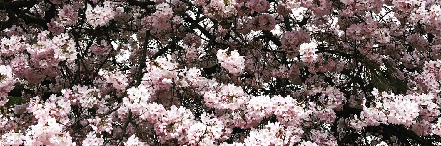 Fabiana Sofia Perera banner