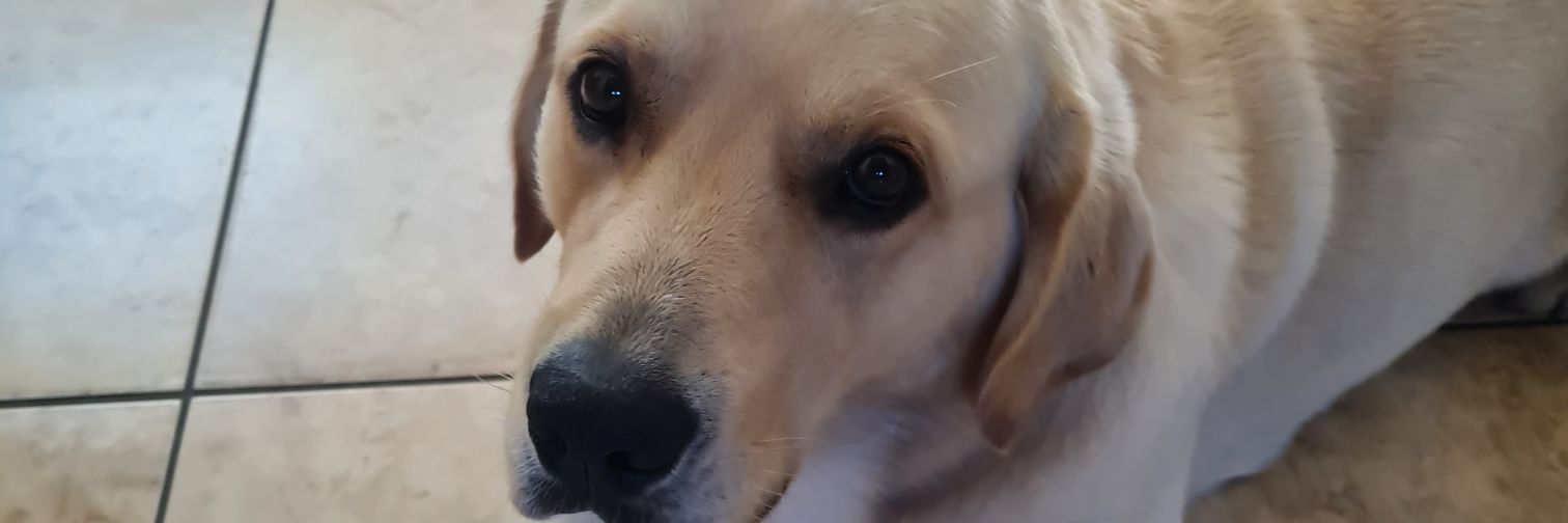 gho5's profile banner image