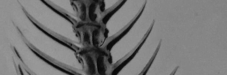Wateruh_'s profile banner image