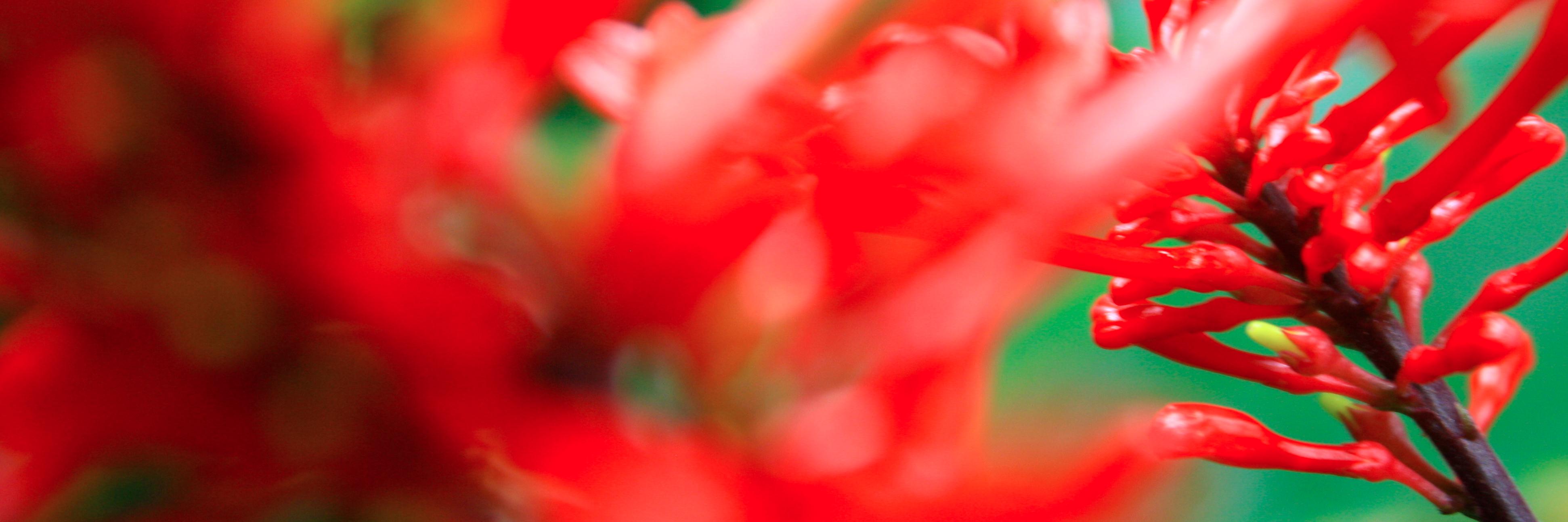 AnneAllen86's profile banner image
