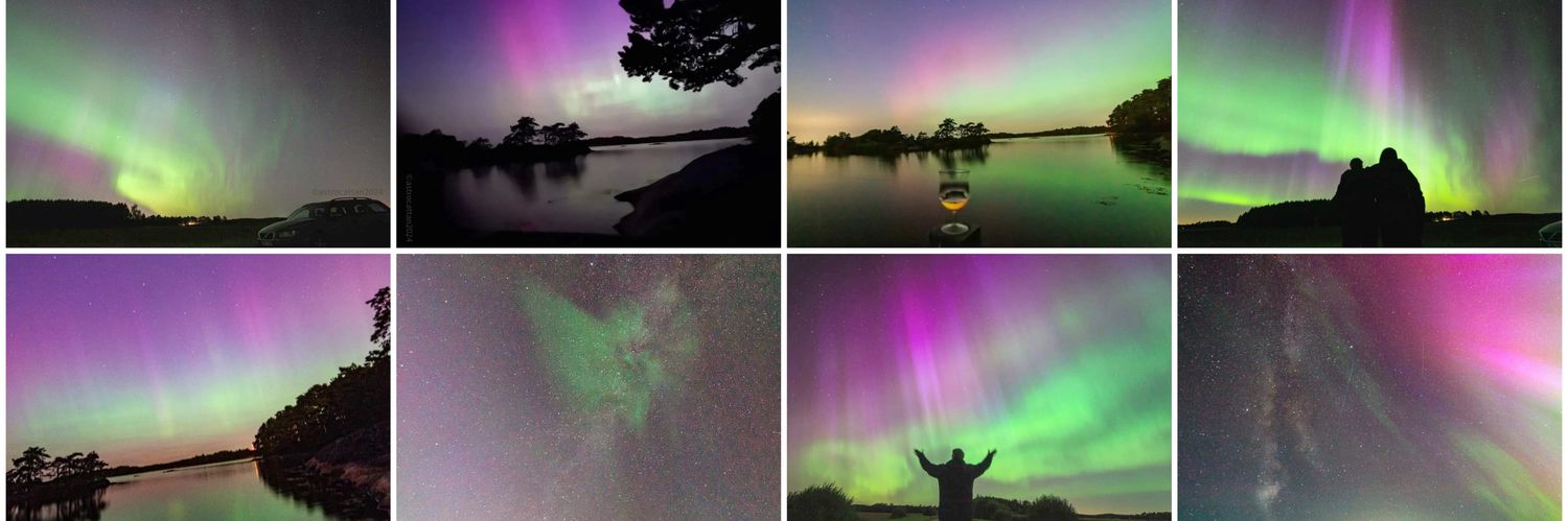 Lottie H A ♈🐏🌈🌌🐱🧡💙🌻 banner