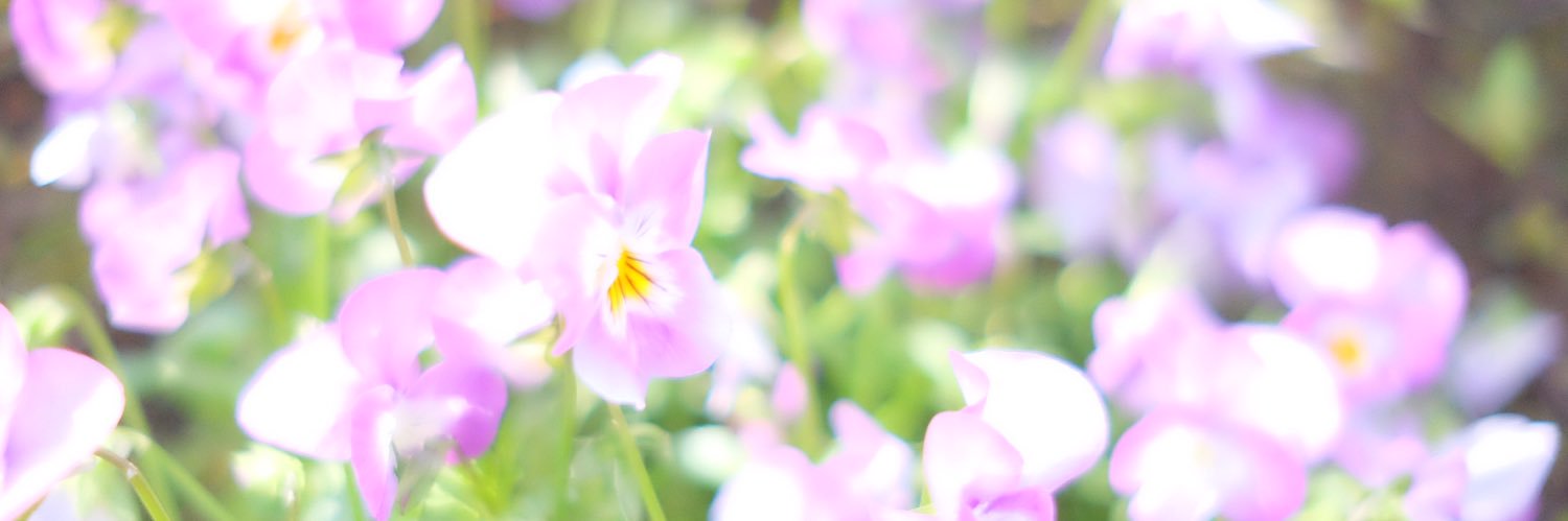 _________lm's profile banner image