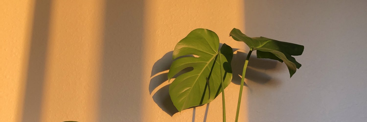 CoralynJackson's profile banner image