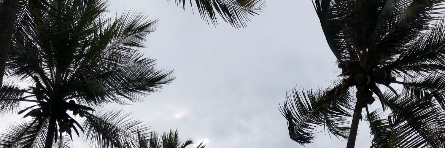 patydsro's profile banner image