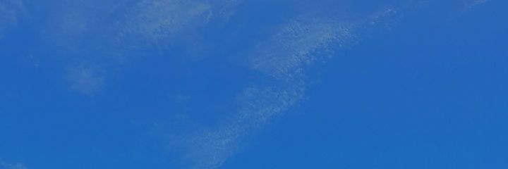 whoaig's profile banner image