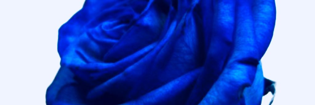 roro_ro_ro's profile banner image
