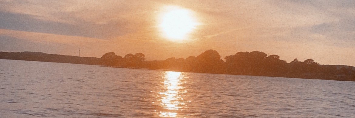 AlexaCallahan's profile banner image